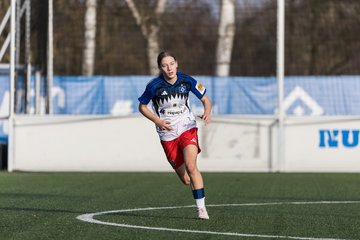 Bild 415 - wBJ Hamburger SV - Hertha BSC : Ergebnis: 2:1